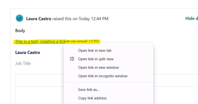 Portal view of the work item.png