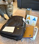 Public (Alina Shevchenko)