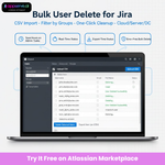 January -Atlassian (23).png