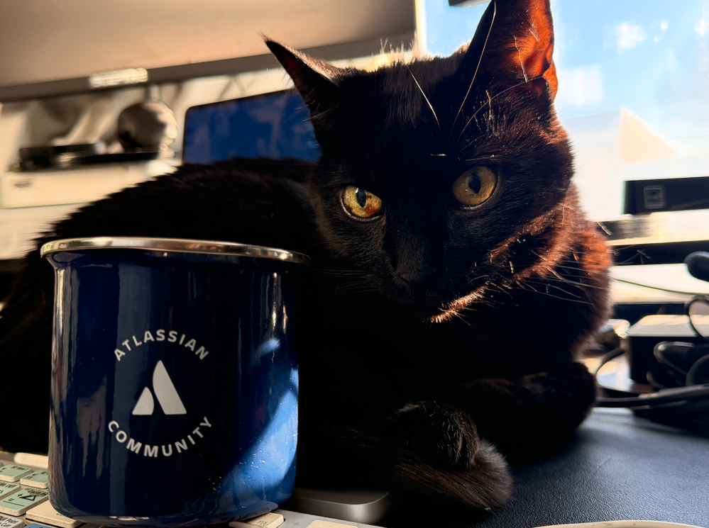 Screenshot 2026-02-05 at 3.56.50 PM.png