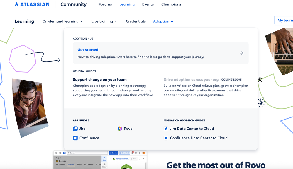 Adoption hub T&C image 2.png