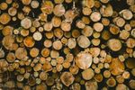 logs-smaller.jpg