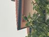 IMG_1451.jpeg