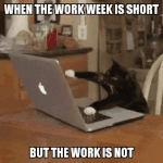 short-work-week-work-week-is-short.gif