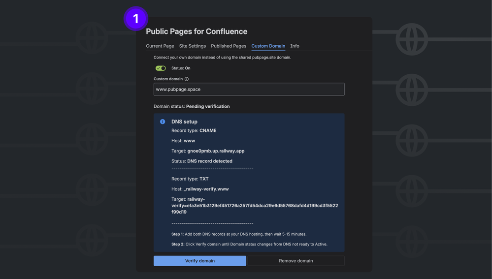 Custom Domain for Confluence DNS.png