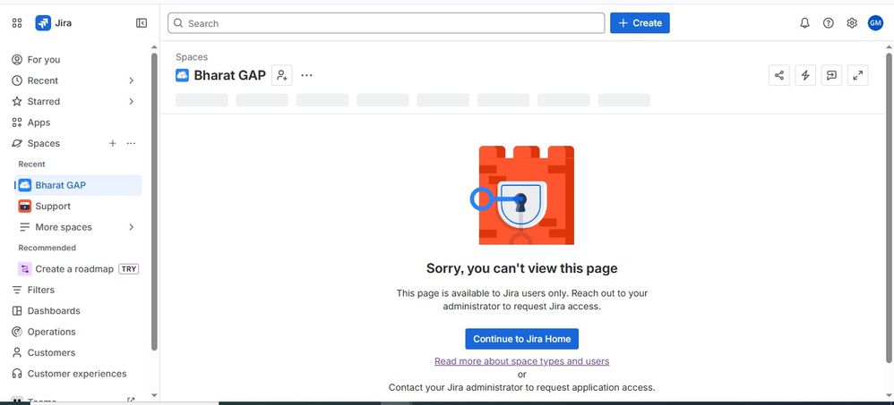 Jira issues.jpg