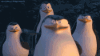7850ed06b1167bddea7b6a88eb0eb1df.gif