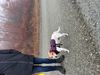 IMG_2091.jpeg