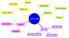 mindmap.png