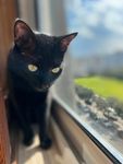 IMG_5512.jpeg