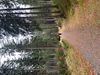 IMG_2127.jpeg
