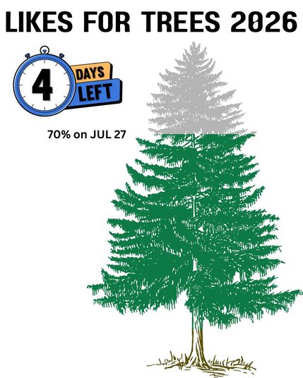 Likes for Trees 2026 (10).jpg