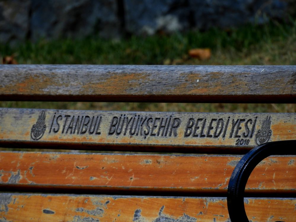 DSCN7638.JPG