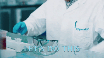 experiment.gif