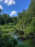 IMG_1552.jpg