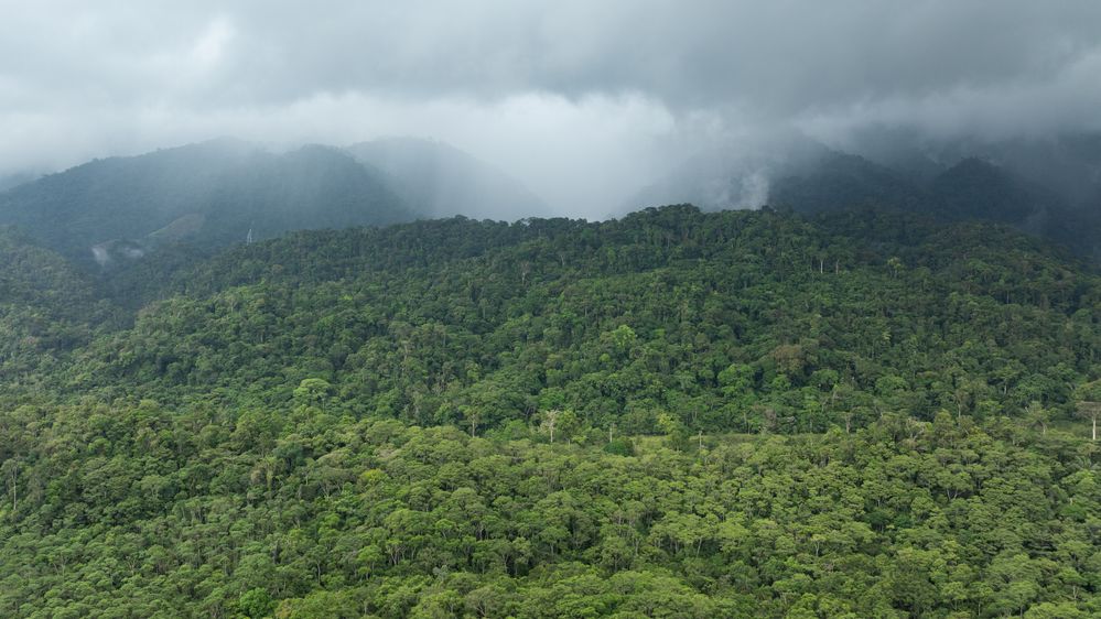 2511-CotudoFestivalExpedition-DJI Mavic 3-STILLS–©Callie Broaddus-0345.jpg