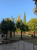 PXL_20260214_094615991.jpg