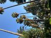 IMG_1384.jpeg