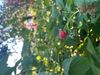 IMG_4681.jpeg