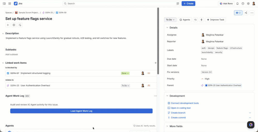 issuePanel.gif