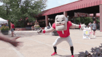 High Five Georgia Bulldogs GIF by University of Georgia.gif