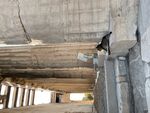 IMG_0602.jpeg
