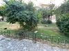 IMG_0619.jpeg