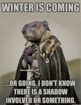 funny-groundhog-day.jpg