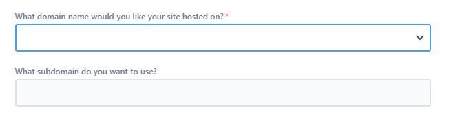 2 custom fields.JPG