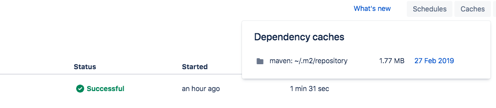Screen Shot 2019-02-28 at 12.57.22 PM.png