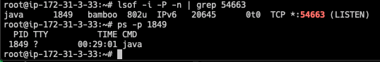 Screen Shot 2019-03-06 at 7.40.38 AM.png