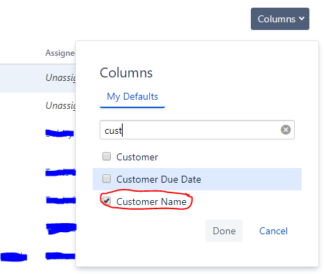 Customer Name - Columns.PNG