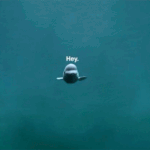 giphy