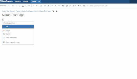 confluence-macro-test.gif