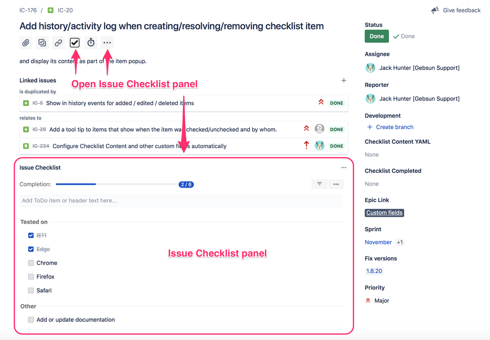 issue-checklist-panel.png