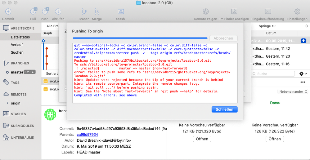 SourceTree_Issue.png
