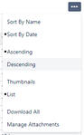 old-view-attachment-options.png