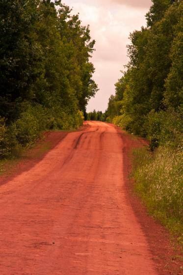 red soil.jpg