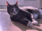 Screenshot 2019-06-28 at 11.30.18.png