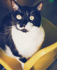 Screenshot 2019-06-28 at 11.30.05.png
