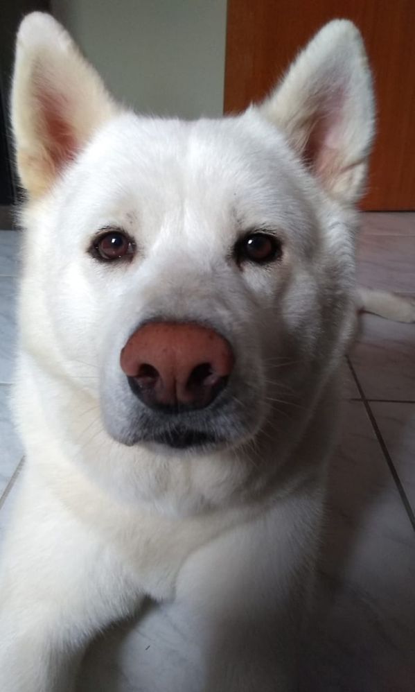 WhatsApp Image 2019-06-28 at 15.29.16.jpeg