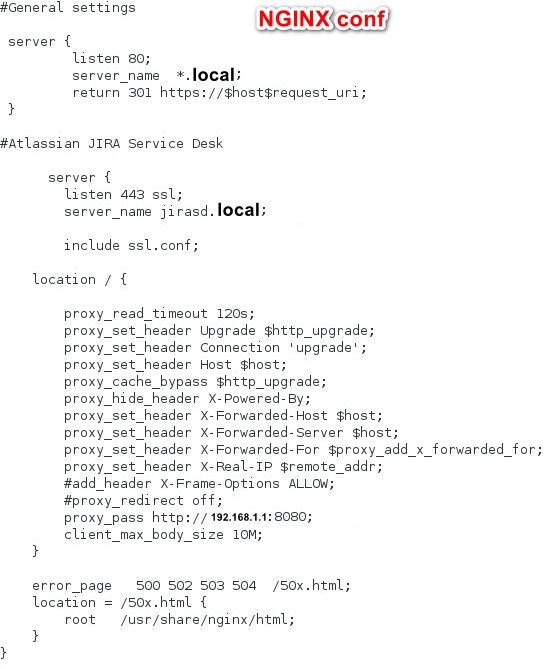 NGINX conf.jpg
