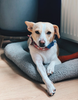 Screenshot 2019-07-02 at 10.58.33.png