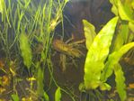 IMG_20170910_221624.jpg