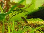 IMG_20180306_215656.jpg
