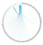 chord-02.jpg