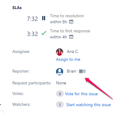 Jira Bug.png