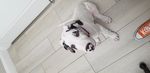 20190713_093609.jpg