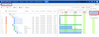 gantt_config.png