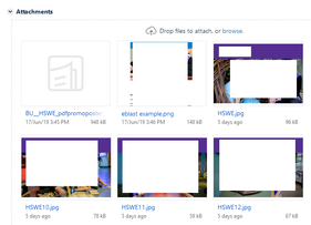the images.png